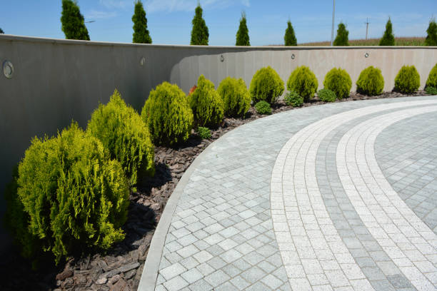 Best Driveway Pavers Near Me  in Avodo Heights, CA
